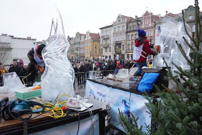 Poznań Ice Festival 2024 