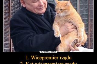 Najlepsze memy z okazji 75. urodzin Jarosława Kaczyńskiego. Te obrazki rozbawią cię do łez!