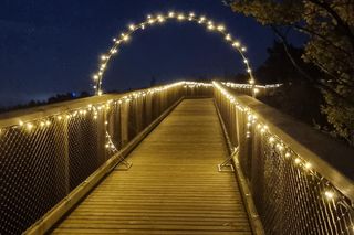 Uznamska Ścieżka w koronach drzew rozbłyśnie trzystoma tysiącami diod. Zobaczymy wyspę z wysokości w nowym świetle