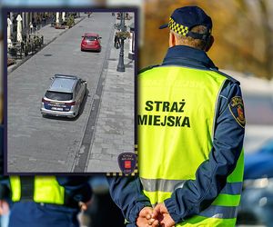 96-latek za kółkiem zszokował strażników! To mówiła mu przez telefon żona. Nie zauważył nawet tego