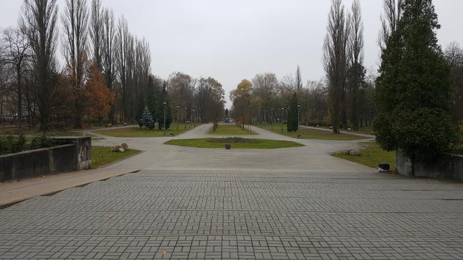 Park Bioróżnorodności powstanie w Sosnowcu
