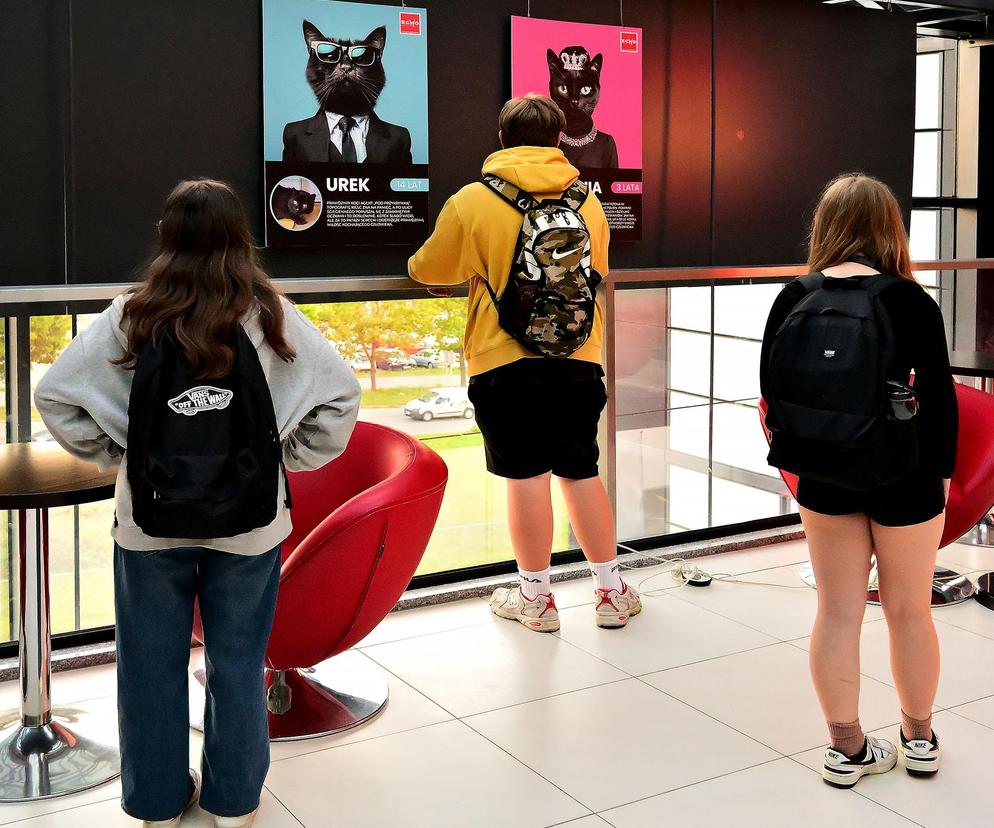 Biedronka i Czarny Kot w Kielcach! Para superbohaterów zaprasza do wspólnej zabawy w Galerii Echo