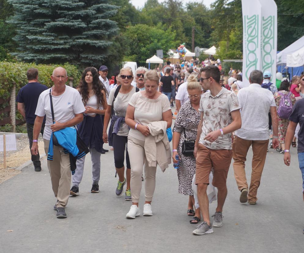 Dymarki 2024 w Nowej Słupi. Tłumy mieszkańców i turystów pod Świętym Krzyżem