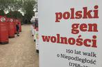 Wystawa na Jasnych Błoniach