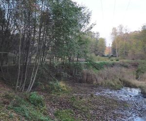 Idealne miejsce na jesienny spacer w Śląskiem - Kamień 