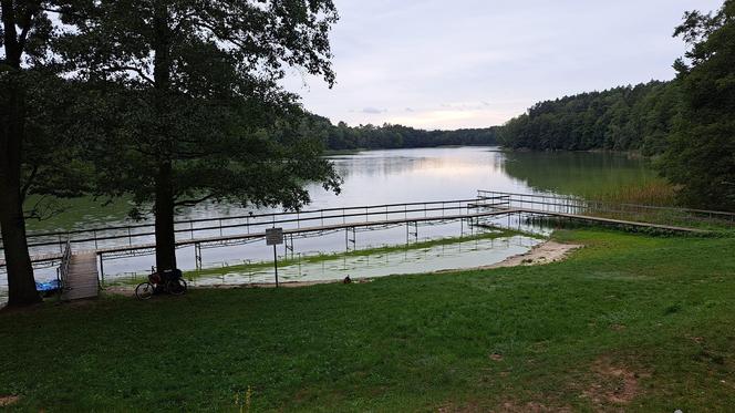 Katastrofa ekologiczna pomiędzy Piłą a Zelgniewem! Woda w jeziorze Wapieńskim skażona