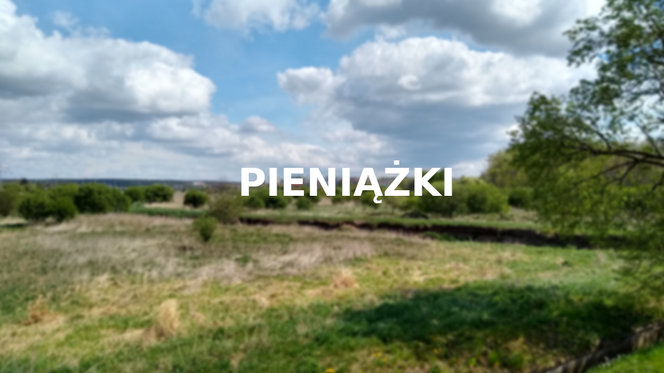 Pieniążki