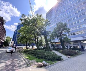 Miasto chce sprzedać zielony skwer w centrum! W tym miejscu może pojawić deweloperski budynek