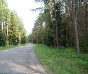 Wigierski Park Narodowy. To bezcenny obszar podlaskiej natury