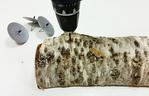 Naturalny stroik na stół z brzozy