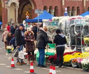 1 listopada na Cmentarzu Centralnym w Szczecinie