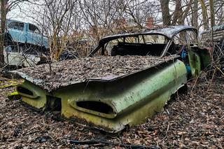 Niesamowite cmentarzysko samochodów. Te wraki robią wrażenie! 