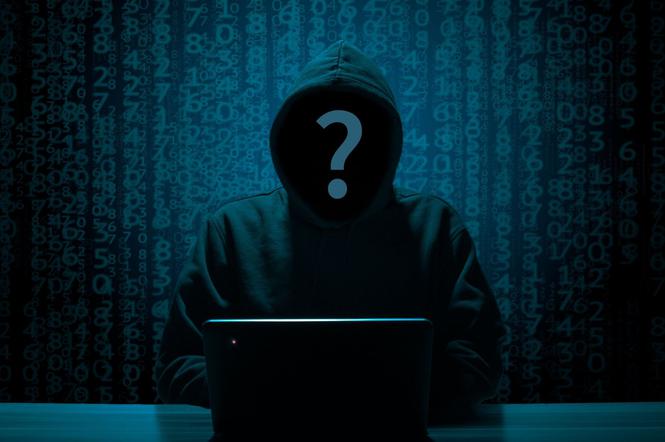 Haker włamał się na Profile Zaufane! Ponad 200 kont padło jego ofiarą! Czy twoje dane są bezpieczne? 