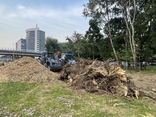 Protest mieszkańców przeciwko wycince drzew pod budowę linii tramwajowej do Mistrzejowic.