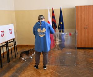 Wybory prezydenckie 2025. Tak głosują Polacy