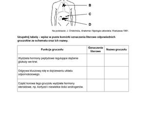 Biologia arkusze MATURA 2024 rozszerzenie FORMUŁA 2015