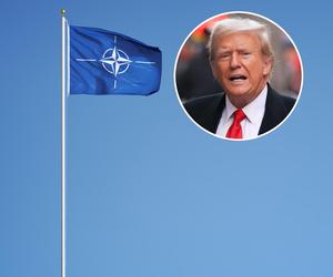 Dwupoziomowe NATO Trumpa. Płacisz 2% PKB na obronność masz ochronę, jak nie, to nie masz ochrony 