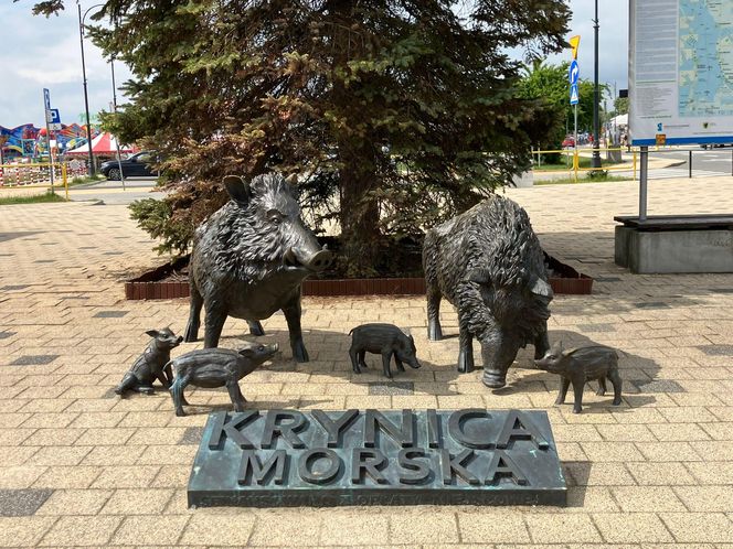 Krynica Morska to popularne miejsce na urlop. Jakie sątu ceny?