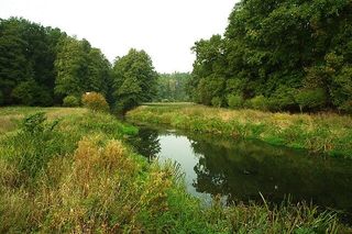 Dolina Wełny i Rzeka Wełna