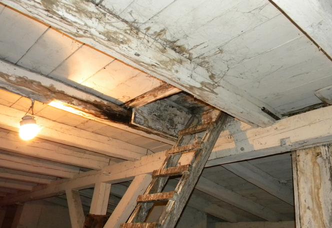 SĄD KAŻE SZKOLE PŁACIĆ ZA RUDERĘ.