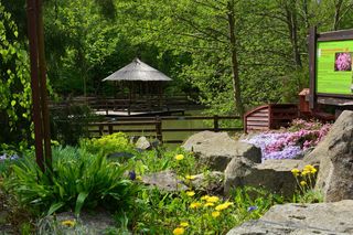 Magiczne miejsce godzinę drogi od Wrocławia. Niewielu turystów tu trafia 