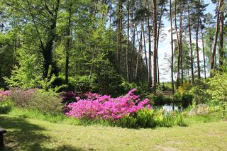 Magiczne miejsce godzinę drogi od Wrocławia. Niewielu turystów tu trafia 