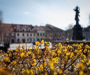 Najbogatsze powiaty w Małopolsce. To w tych miejscach żyje się najlepiej [GALERIA]