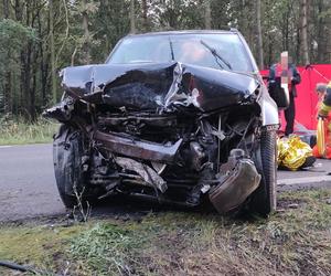 Wypadek pod Kościanem. Zderzenie samochodu z jeleniem doprowadziło do czołówki