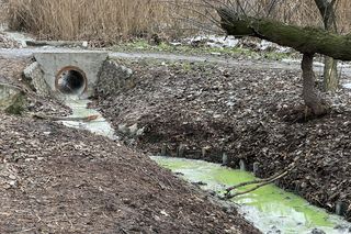 To nie film science-fiction. Tak wygląda rzeka pod Krakowem  