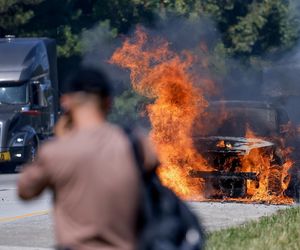 Floryda pod wodą. Mieszkańcy muszą uważać na aligatory