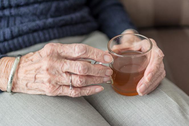 Pani Zofia Dachniewska napisała do magistratu, deklarując chęć przeznaczenia części swoich oszczędności na cel, który służyłby wszystkim łodzianom