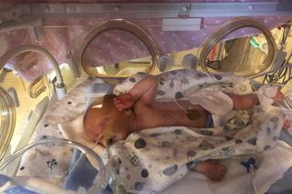 Czworaczki z Poznania