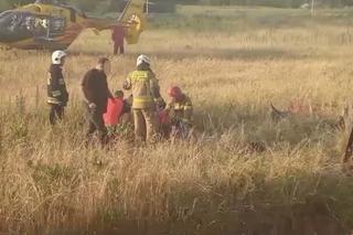 Wyleciał za barierki, ściął latarnię i dachował. Koszmarny wypadek na trasie S8. Nie żyje 38-letni mężczyzna