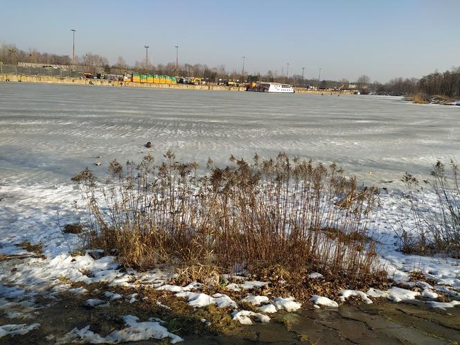 Mimo dodatnich temperatur spacerują po lodzie. Sprawa dzieli mieszkańców Białołęki