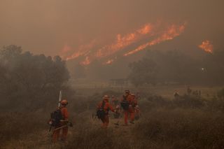 Pożary pustoszą Wschodnie Wybrzeże i Kalifornię. Jedna ofiara