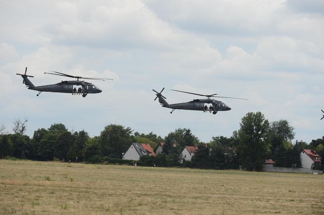 Black Hawk