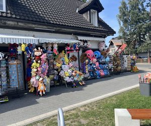 Zakupy nad morzem: 150 zł za kapibarę to przesada