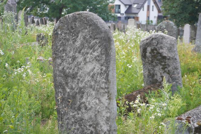 Zabytkowy cmentarz żydowski z XIX wieku w Białymstoku. Ostatnia taka ocalała nekropolia w mieście