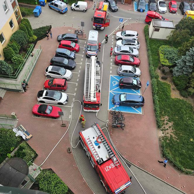 Bohaterscy strażacy weszli w ogień, żeby ratować kota. Mieszkańcy mieli łzy w oczach