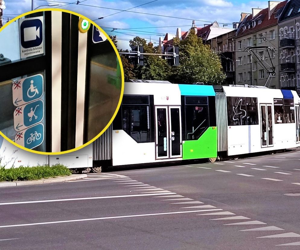 Nowe oznaczenia na tramwajach i autobusach. To zapowiedź dużych zmian