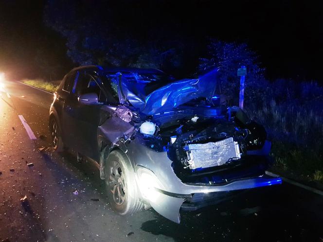 Łoś wybiegł pod auto. Zderzenie zakończyło się poważnym  uszkodzeniem auta