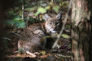 Atrakcje dla dzieci na Mazurach. W tych miejscach nie ma mowy o nudzie!
