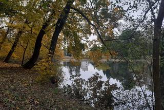 Jesienny spacer po parku zamkowym w Krasiczynie