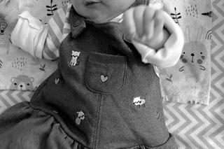  Grób maleńkiej Oli