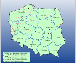 Wzrost zagrożenia pożarowego w lasach. Najgorzej na północy