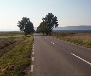 Jeziorko koło Nowej Słupi 