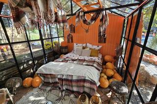 Ogromna Farma Dyniowa w Radawie 