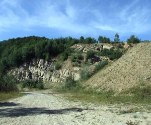 To dawna wieś rycerska w Małopolsce. Znajduje się w niej słynny kamieniołom 