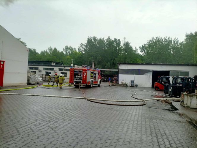 Wielki pożar hali w Gliwicach! Chmura dymu nad miastem