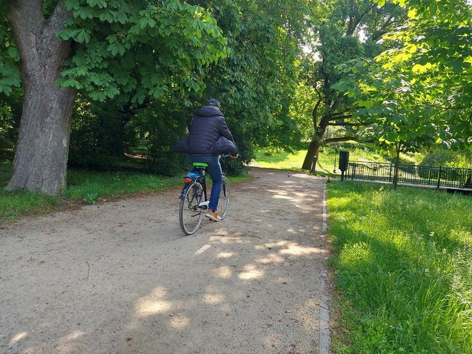 Park Miejski w Zamościu